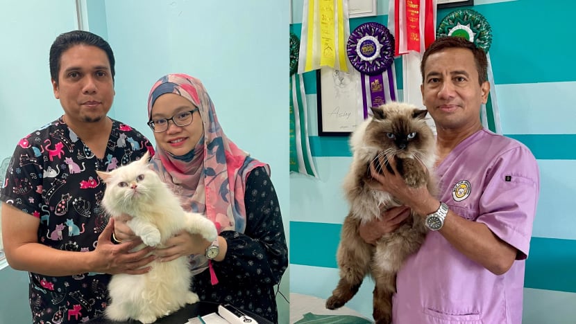 Penyedia khidmat haiwan peliharaan ambil langkah tambahan demi keselamatan kucing Penyedia khidmat haiwan peliharaan ambil langkah tambahan demi keselamatan kucing