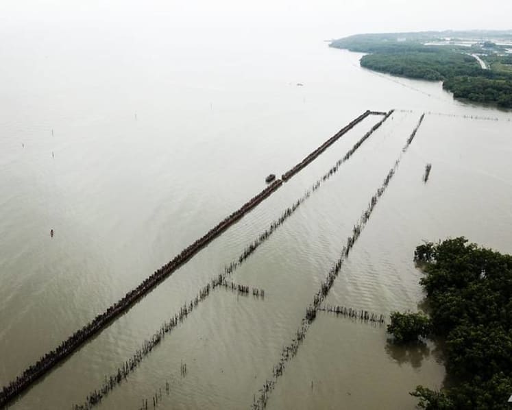 Salty rivers, failed durian trees and waves consuming the shore: Climate change realities hit Gulf of Thailand