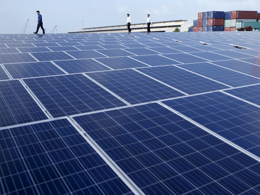 Sun Electric's Chief Executive Officer Matthew Peloso (L) walks along rows of rooftop solar panels, operated under the company's SolarSpace energy retail programme at a factory in Singapore February 29, 2016. Photo: Reuters