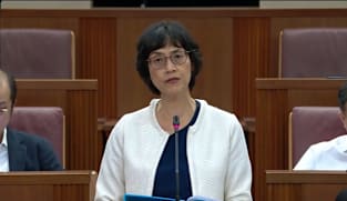Joan Pereira on Land Transport and Related Matters (No. 2) Bill