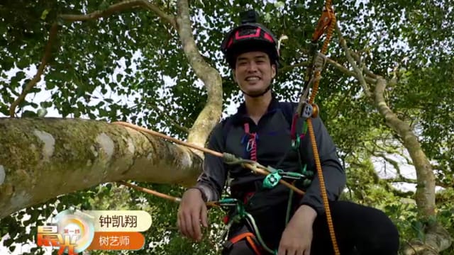 晨光|玩物壮志：转行当树艺师 悉心照料花草树木