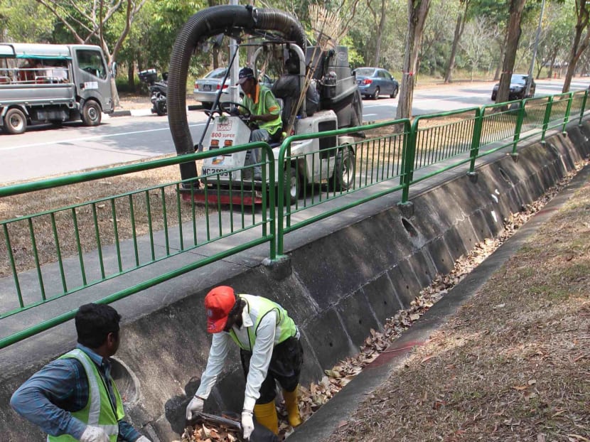 NEA steps up efforts to clear leaf litter to control mosquito population