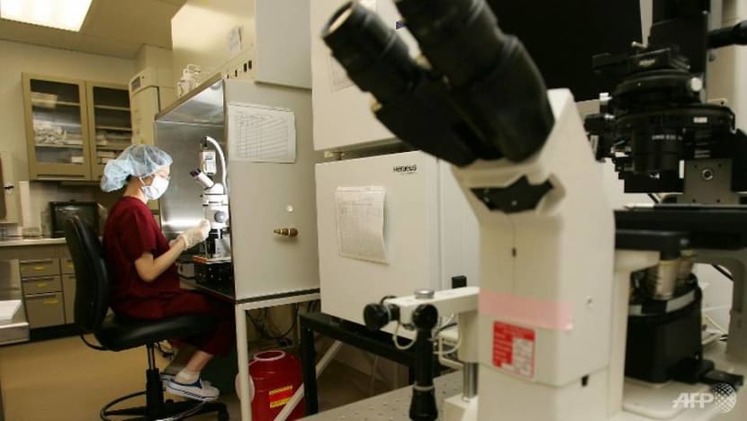 ‘Doing it for myself’: The women freezing their eggs to raise their chances of conceiving ‘Doing it for myself’: The women freezing their eggs to raise their chances of conceiving
