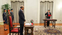 Related article image