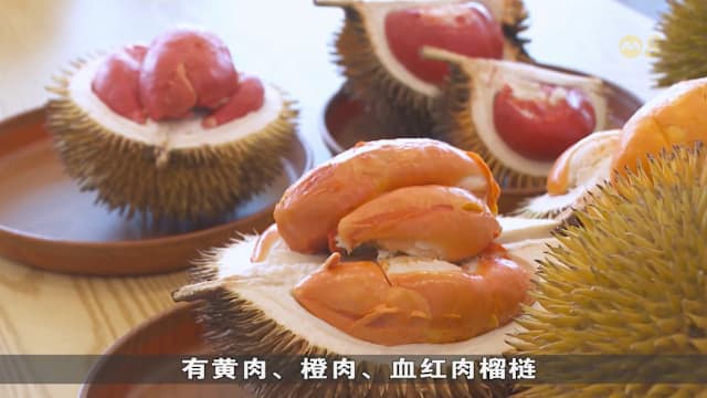 沙巴榴梿大赛 红肉浓味榴梿受追捧