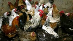 Related article image