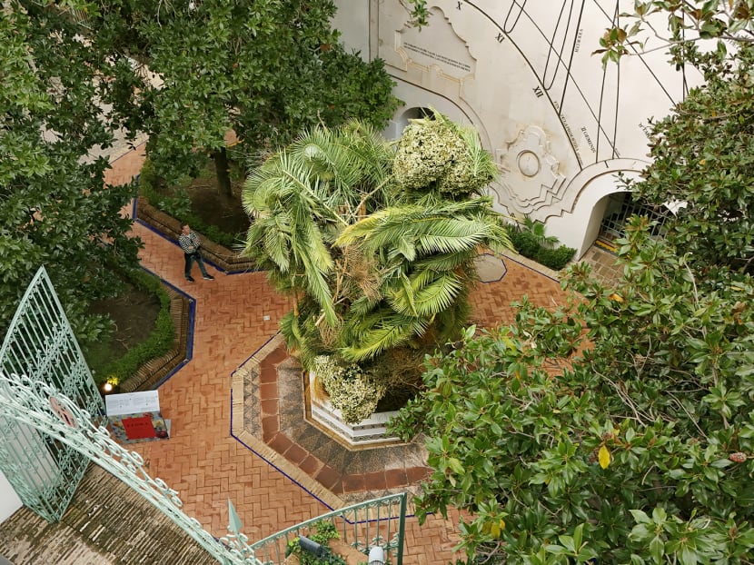 Singapore’s This Humid House wins first prize at the prestigious Flora International Flower Festival 2024