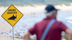 Related article image