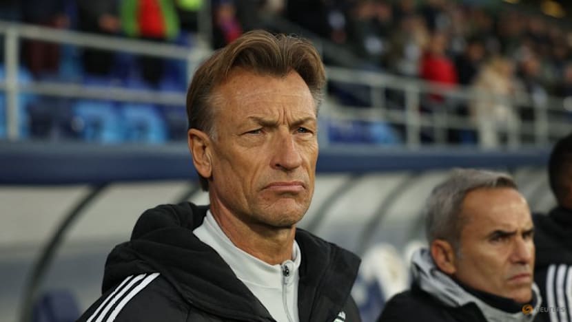 Tunisia replace coach Lamouchi with Renard after World Cup rout by Sweden says report