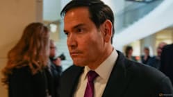 Related article image