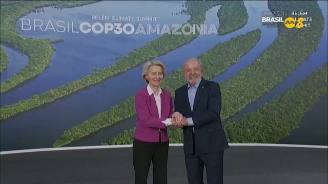 巴西成立永久热带森林基金 已筹得55亿美元