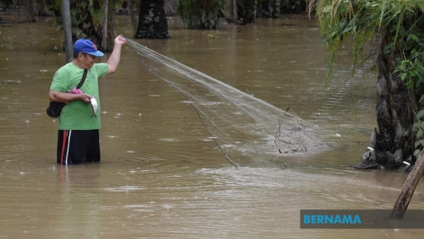 Nelayan ini tebar jaring cari rezeki ikan air tawar semasa banjir