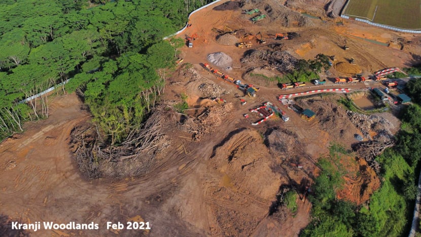 Kranji forest parcel ‘erroneously’ cleared by contractors; firm given stern warning: JTC