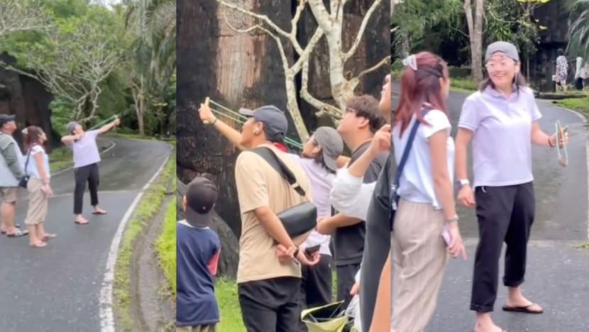 Tourist Seen Laughing While Firing Slingshot In Moo Deng’s Zoo In Thailand