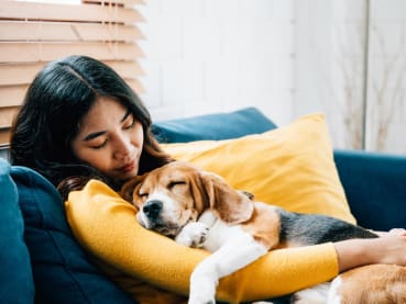 Should you still snuggle your pet when you're sick? Can your pet pass its sniffles to you?