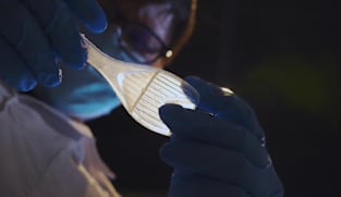 Pembuat Bayi - Ep 2: Bayi Masa Depan