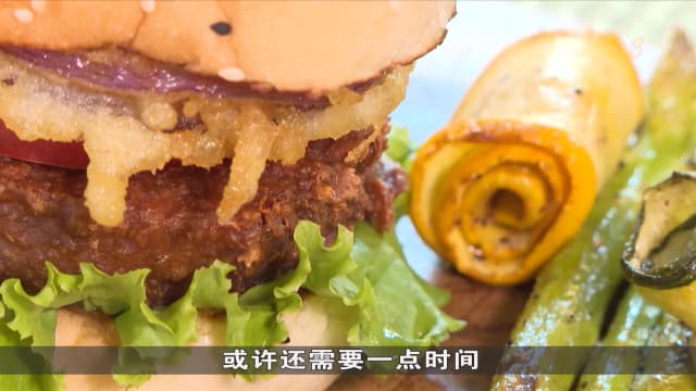 狮城有约 | 植物食代：如何烹煮植物肉