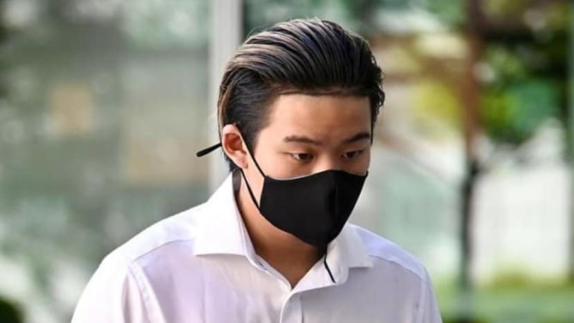 Teen accused of rhino enclosure trespass gets new charges after arrest following court no-show