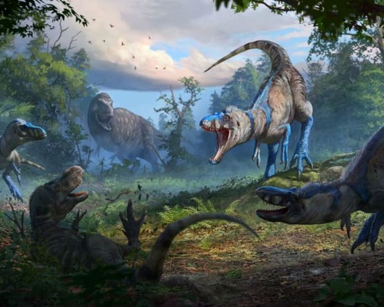 Agile and vicious Nanotyrannus was not just a teenage T. rex