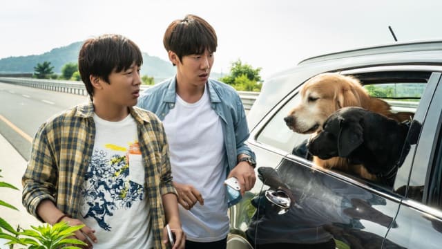 “My Puppy”　什么才算是真正的家人？