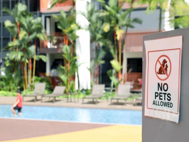 At Riverfront Residences, a condominium in Hougang, dogs are not allowed on the ground floor. A notice put out by the condominium’s council stated that the move was due to dogs urinating and defecating on level one, which caused damage to the grass turf and “inconvenience” to other residents. 