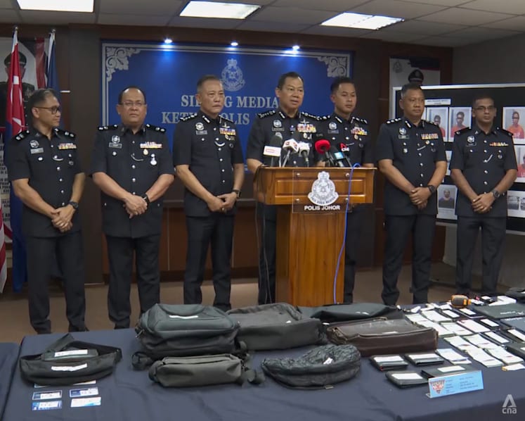 Johor police bust gangs linked to 17 car break-ins, including 4 Singapore vehicles at Desaru resorts