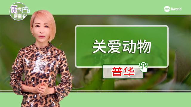 【普华】关爱动物研究协会建议民众不要冲动购买蛇类