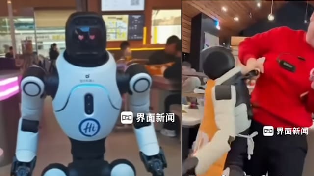 美国海底捞机器人跳舞闯祸 打翻餐具险掀桌