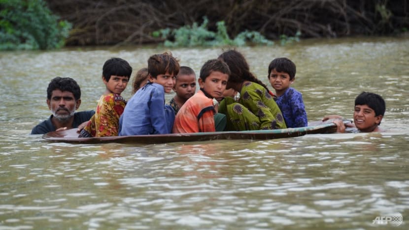 More climate-related cases will be brought against governments, businesses following new UN report: Analysts More climate-related cases will be brought against governments, businesses following new UN report: Analysts