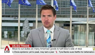 US-EU Trade: European Parliament votes to approve tariff deal struck with US last year