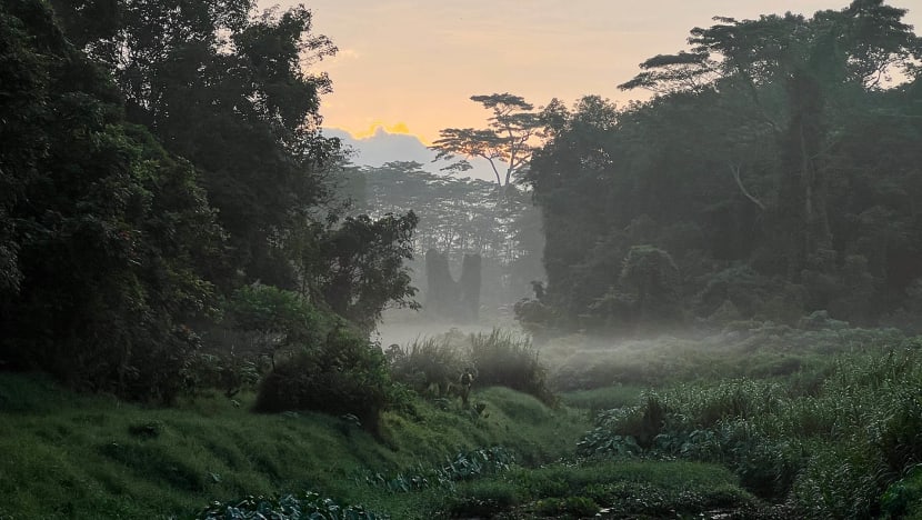 Gambar Pilihan Hari Ini