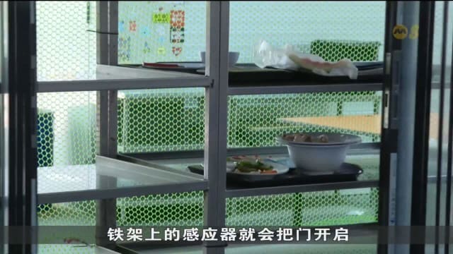 碗碟回收处装自动门鸟患减九成 商联会计划改善系统