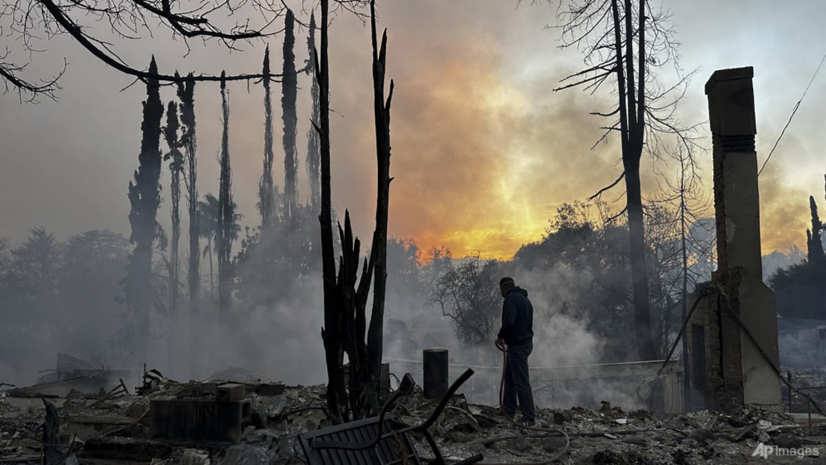 Extreme weather, suburban sprawl fuel Los Angeles wildfires