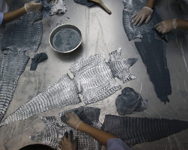 Singapore tanneries: Africa’s largest market for reptile skins in Asia