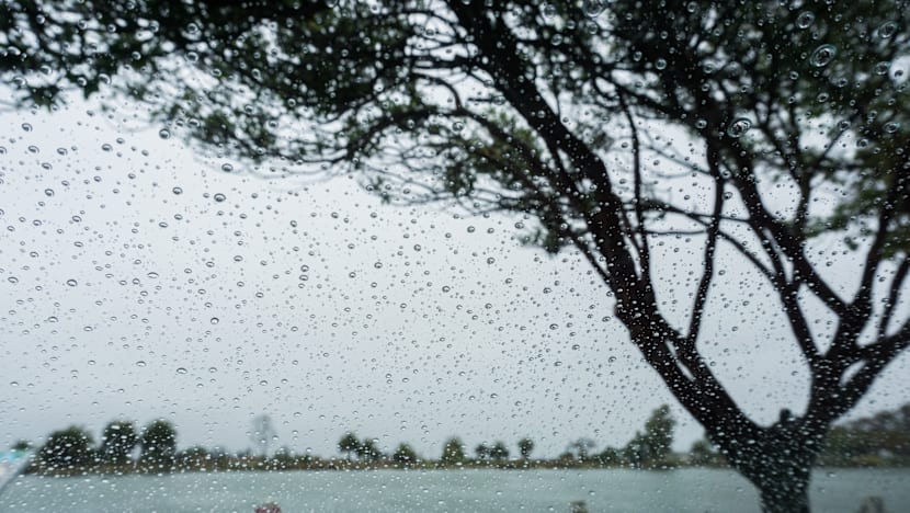 அடுத்த இரு வாரங்கள் - வானிலை எப்படி இருக்கும்?