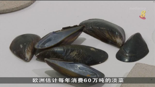 西班牙3D打印变废为宝 将淡菜壳制成陶瓷泥浆