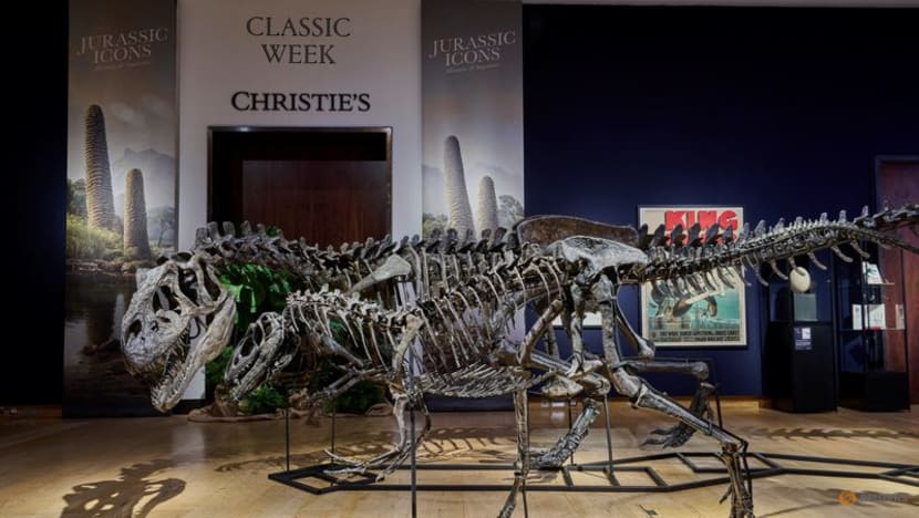 Three dinosaur fossils from Jurassic period headed for London auction