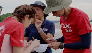 Saving Our Green Lungs - Vanishing Seagrasses