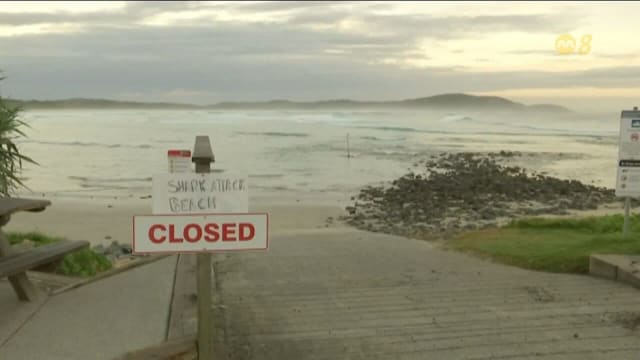 澳洲三天发生四起鲨鱼攻击 专家：夏季公牛鲨更常现身