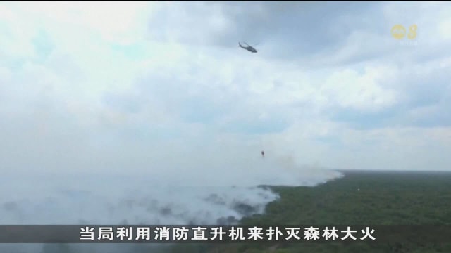 印度尼西亚至少有六个省份陷入森林大火