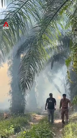 What’s causing the 'smoky smell' in parts of Singapore?