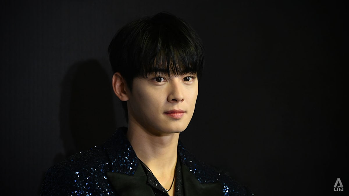 South Korean actor Cha Eun-woo under investigation for alleged US$13.6 million tax evasion