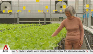 Pilot programme to consolidate and share logistics among Singapore agro-food industry players