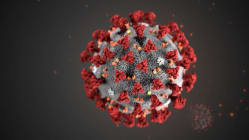 Related article image