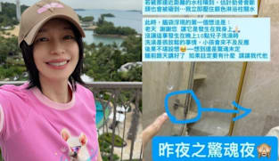 Actress Vivian Hsu shares bathroom accident that left her shaken: 'My ribs could have broken'