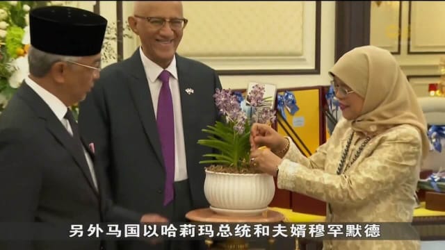 哈莉玛总统：由于地缘政治格局变化 新马紧密合作显得更重要