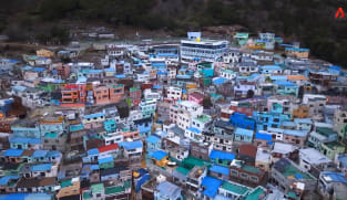 CNA Correspondent - Busan: Facing Extinction
