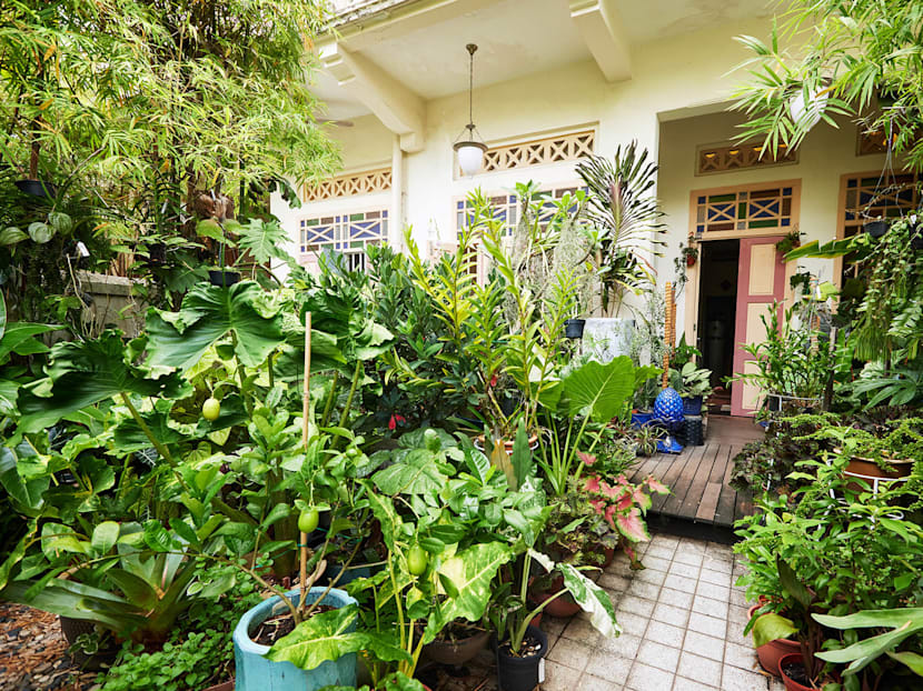 Can&rsquo;t Keep Your House Plants Alive? Then You'll Need These Gardening Tips For Beginners