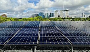 Building bridges for a greener world: Singapore’s climate strategy