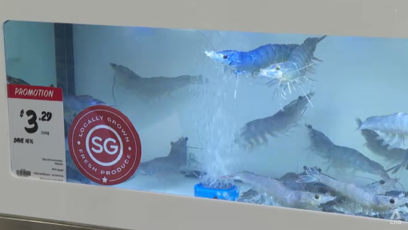 Live, locally-grown shrimp and fish now on sale at 3 Giant supermarkets